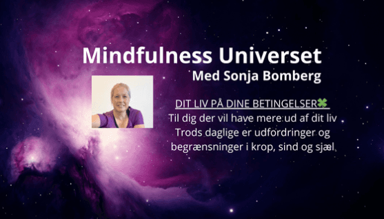 Billede af meditationsforløbet